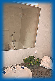 Bathroom of the hotel Le Strasbourg in Mulhouse with bath and toilets